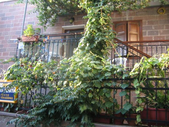Μαχη Ενοικιαζόμενα Δωμάτια Mithimna Eksteriør bilde